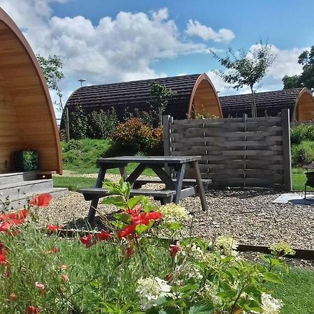Buttercup Glamping Pod Hotel Cheltenham Buitenkant foto