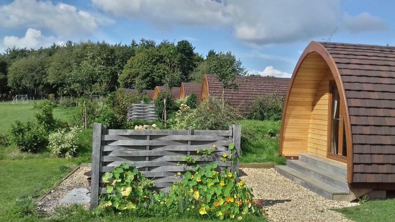 Buttercup Glamping Pod Hotel Cheltenham Buitenkant foto