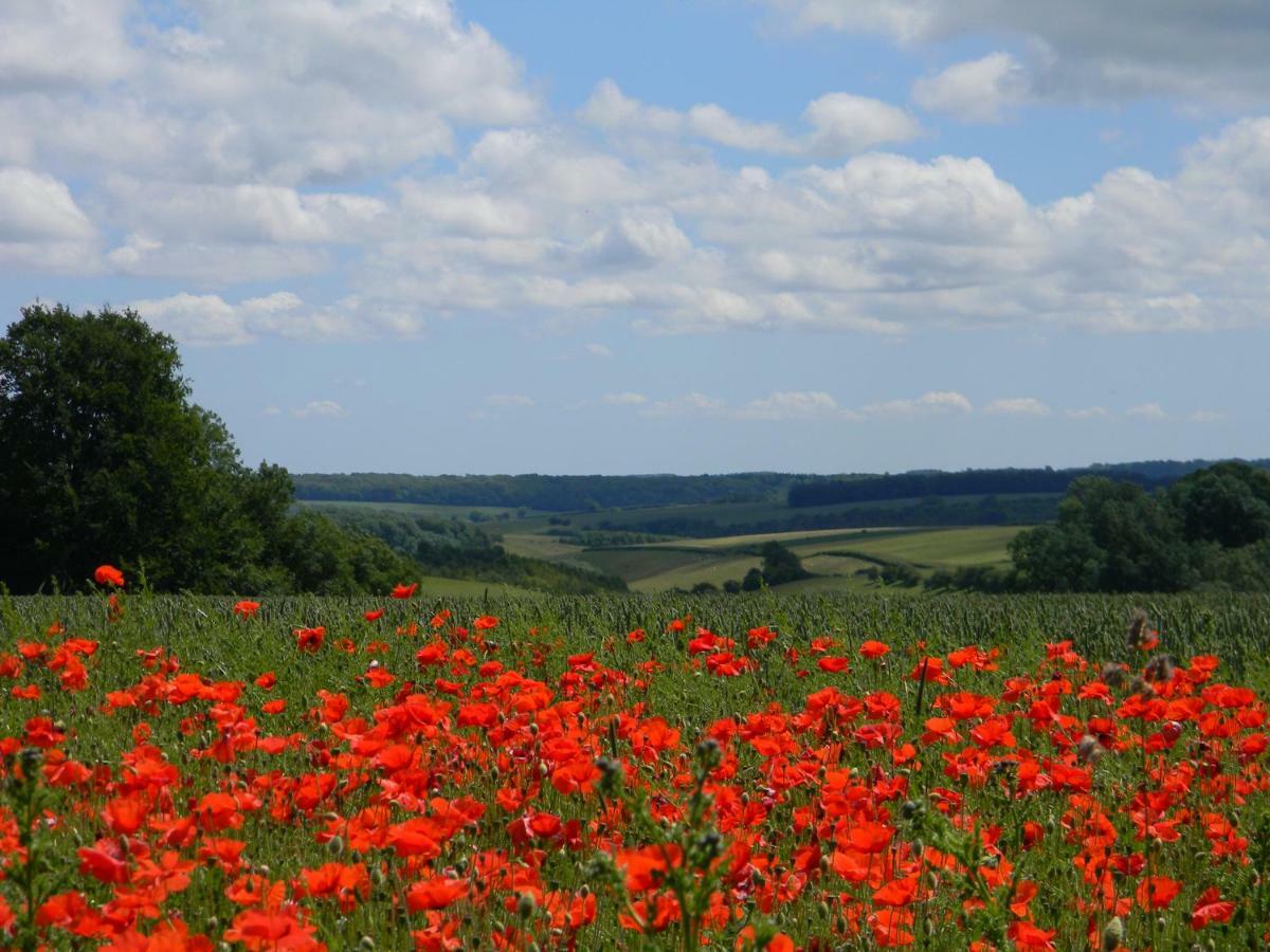 Buttercup Glamping Pod Hotel Cheltenham Buitenkant foto